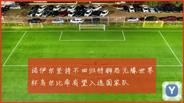 诺伊尔坚持不回归特狮恐无缘世界杯乌尔比希有望入选国家队