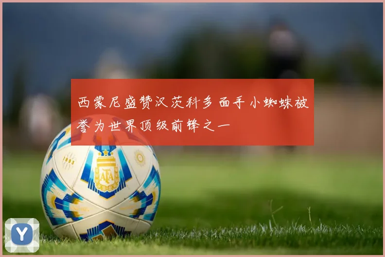 西蒙尼盛赞汉茨科多面手小蜘蛛被誉为世界顶级前锋之一
